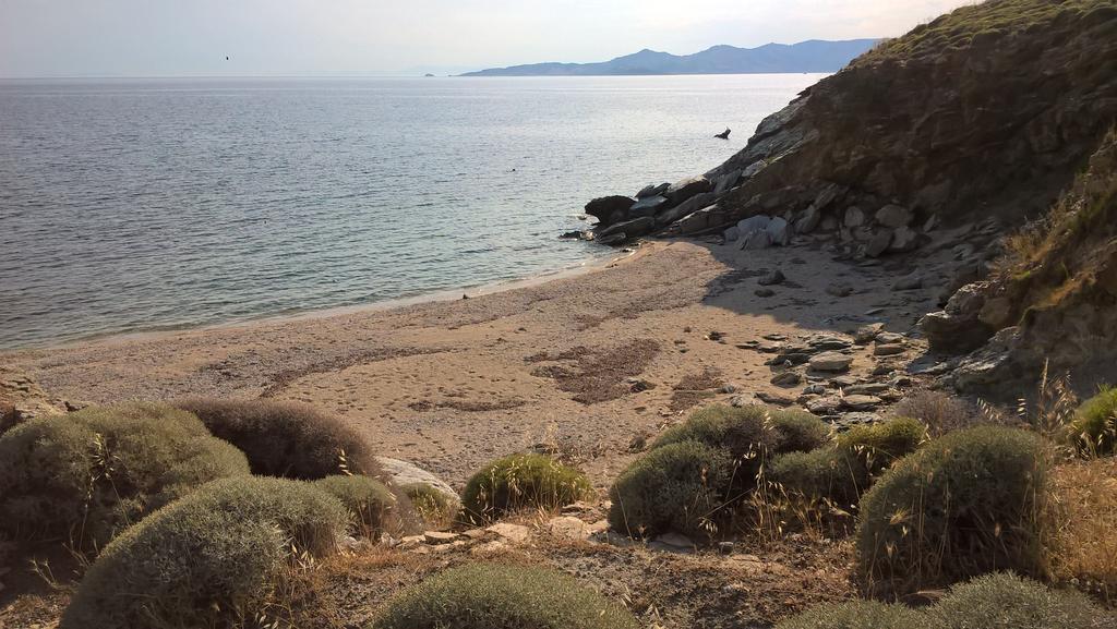 Garden House Karystos (Evia)